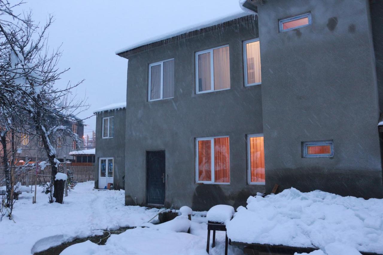 Inga Jafaridze Guesthouse Pele Mestia Ngoại thất bức ảnh